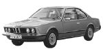 BMW E24 P1B19 Fault Code